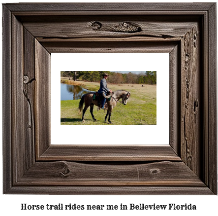 horse trail rides near me in Belleview, Florida